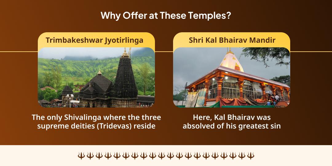 Pradosh Kaal Special Shiva & Bhairav Complete Protection Chadhava