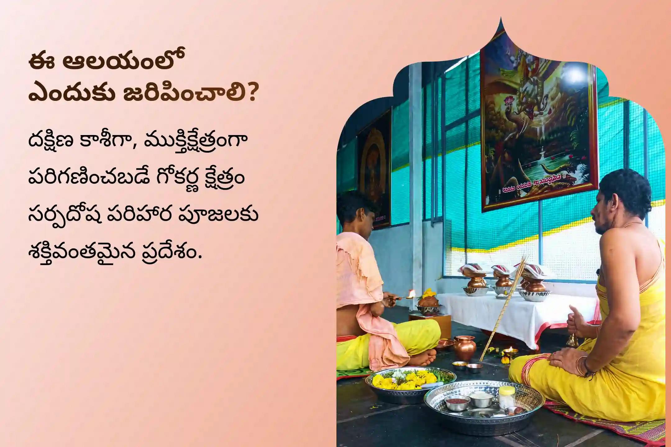 సర్ప (నాగ) దోషం యొక్క దుష్ప్రభావాలను తొలగించి, కర్మ పాపాలను ప్రక్షాళన చేసుకోవడం కొరకు ఆశ్లేష నక్షత్ర గోకర్ణ స్పెషల్ ఆశ్లేష నాగబలి పూజలో పాల్గొనండి.