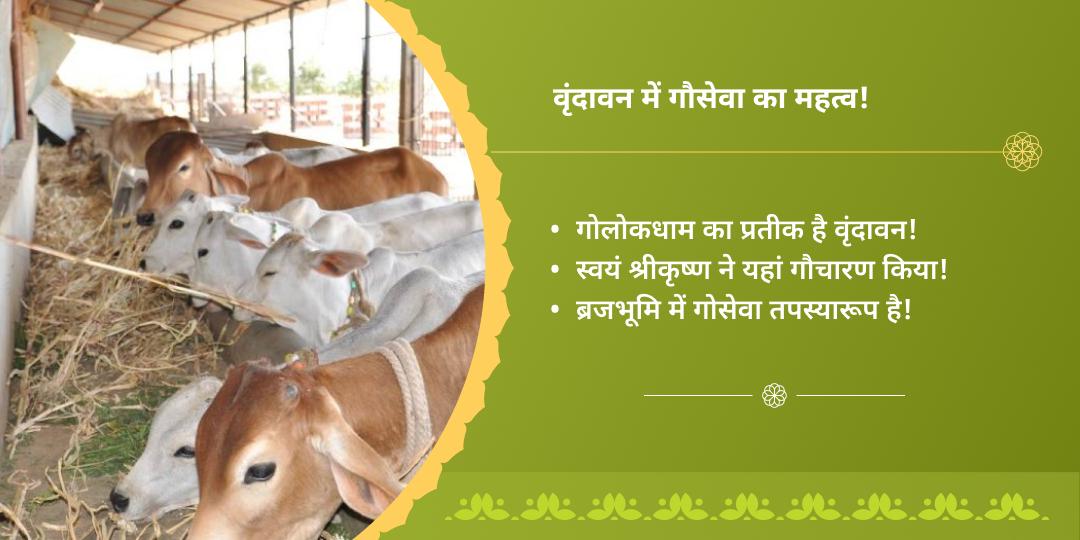 2025 अंतिम पूर्णिमा वृंदावन कामधेनु गौसेवा