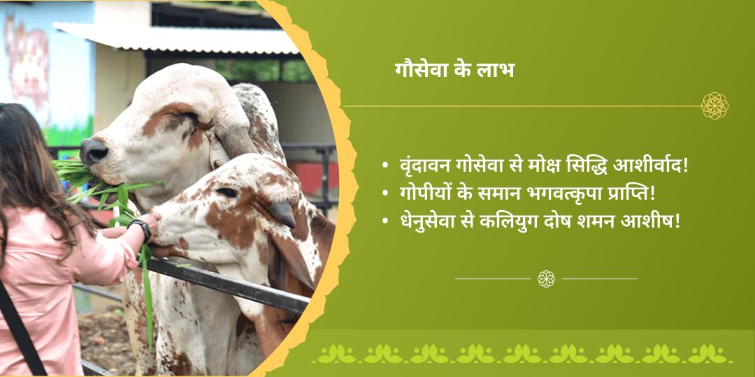 2025 अंतिम पूर्णिमा वृंदावन कामधेनु गौसेवा