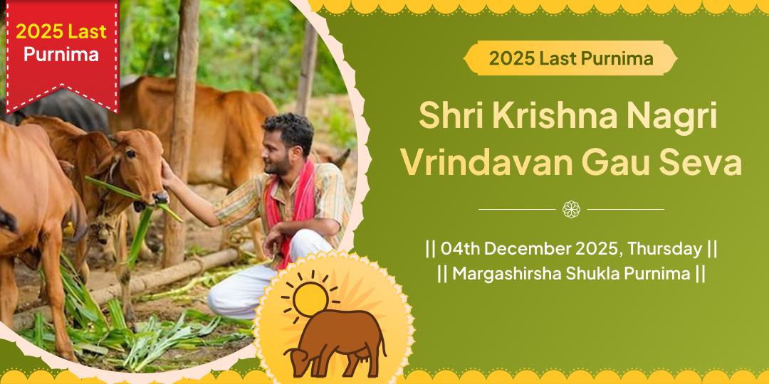 2025 Last Purnima Vrindavan Kamadhenu Gau Seva