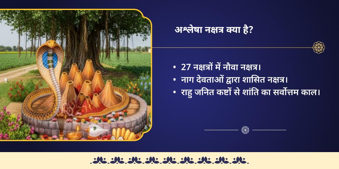 अश्लेषा नक्षत्र राहु-केतु शांति राहु पैठानी चढ़ावा