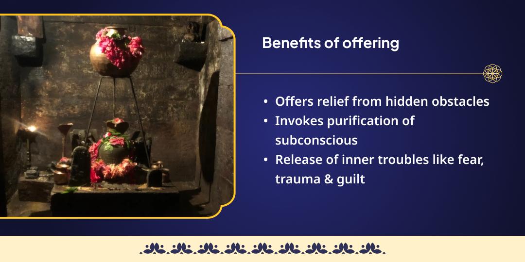 Ashlesha Nakshatra Rahu-Ketu Shanti Rahu Paithani Chadhava