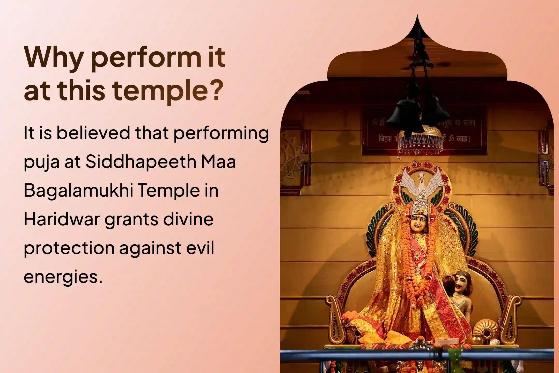 Participate in the Legal Victory Day of Bagalamukhi Special Maa Bagalamukhi Puja for Victory in Court Cases and Legal Issues for Blessings of Victory over enemies and in Court cases.