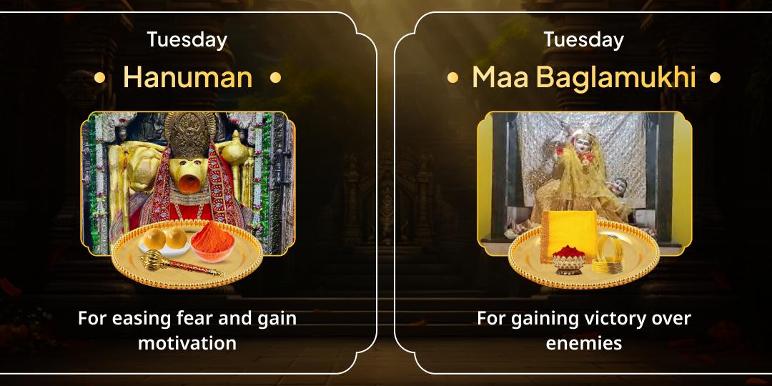 Must Do Devotional Offerings before 2025 Ends