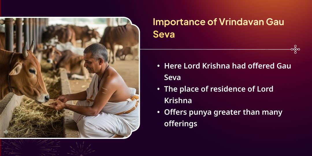 New Year 2026 New Blessings-New Beginnings Seva Sankalp