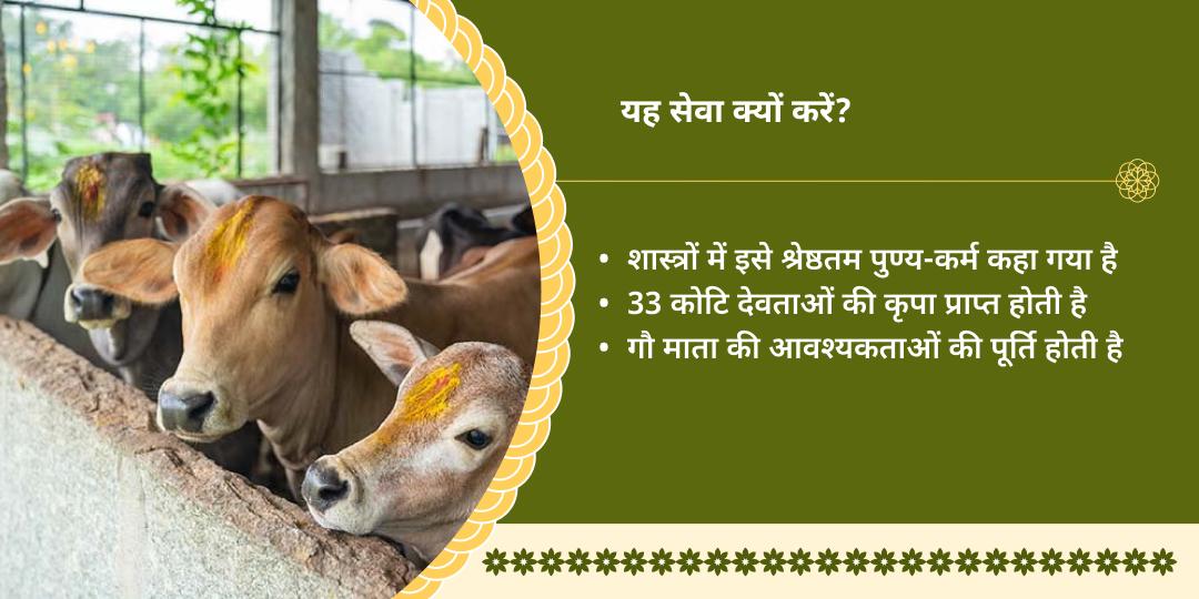 गौ माता सेवा मथुरा