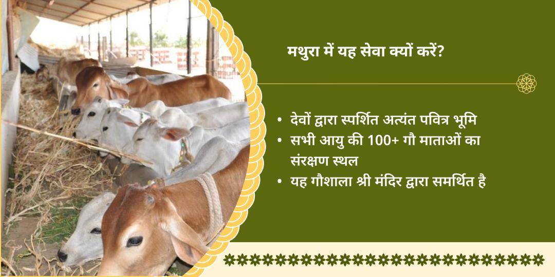 गौ माता सेवा मथुरा