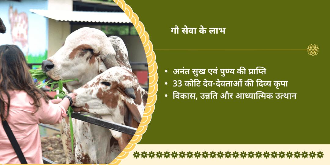 गौ माता सेवा मथुरा