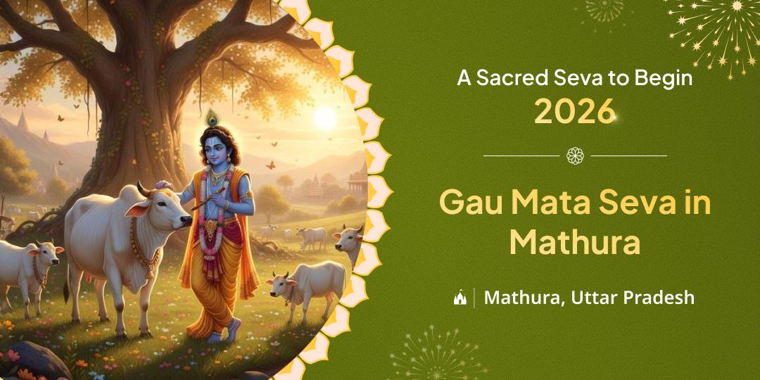 Gau Mata Seva in Mathura