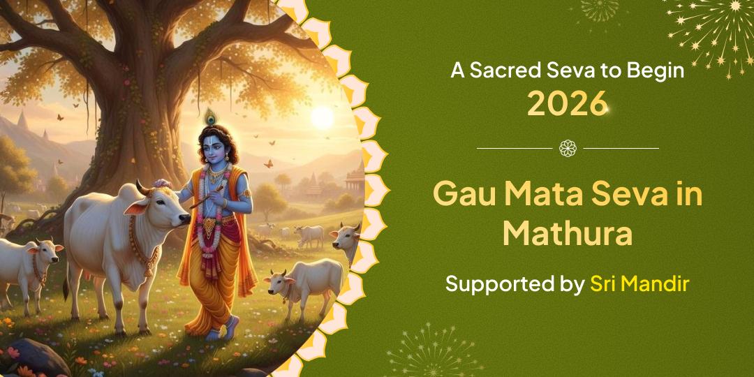 Gau Mata Seva in Mathura (A Noble Deed on the Onset of 2026)