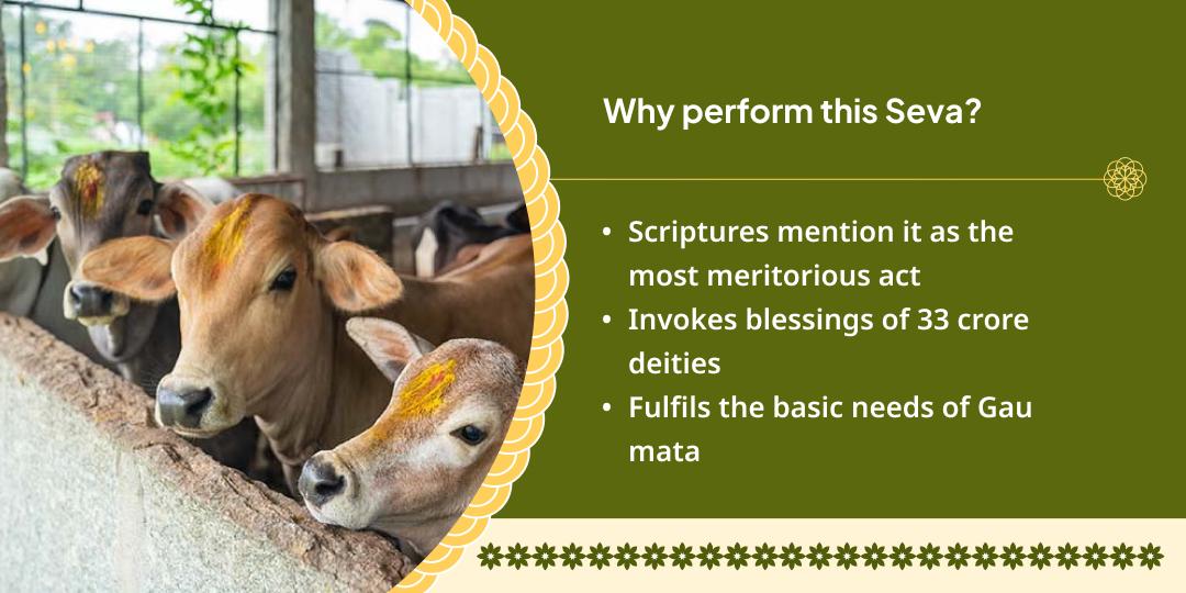 Gau Mata Seva in Mathura (A Noble Deed on the Onset of 2026)