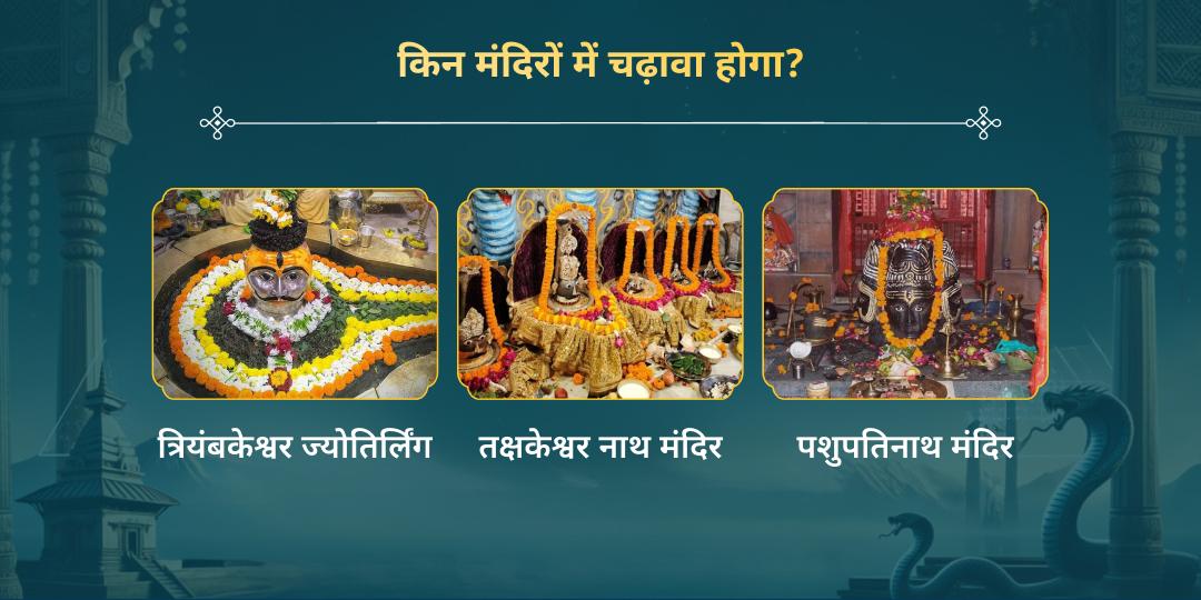 2026 प्रथम पंचमी काल सर्प-राहु केतु शांति त्रिशक्ति चढ़ावा 