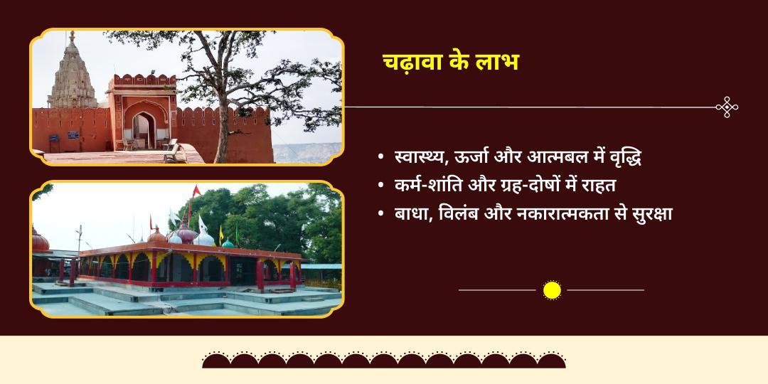 मकर संक्रांति महापर्व सूर्य-शनि दोष शांति चढ़ावा 