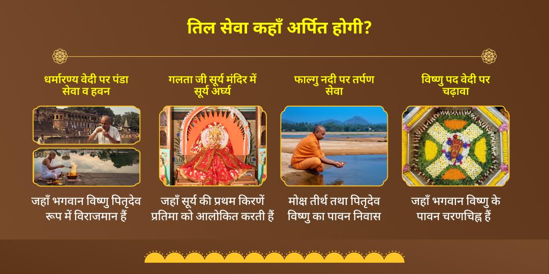 मकर संक्रांति-षट्तिला एकादशी पितृ मोक्ष एवं पाप निवारण तिल महासेवा 