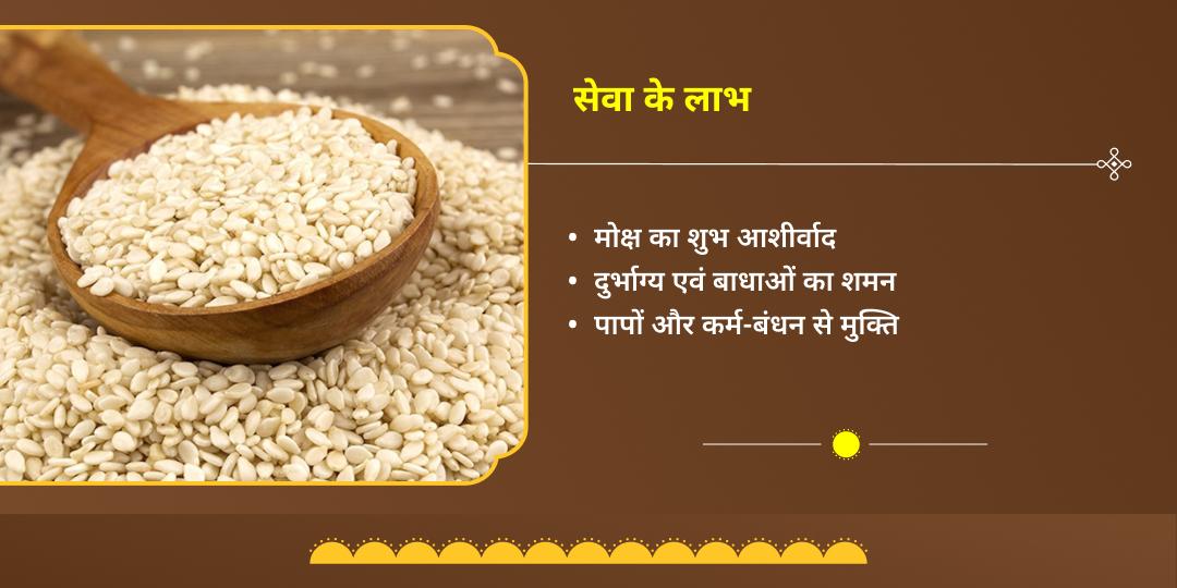 मकर संक्रांति-षट्तिला एकादशी पितृ मोक्ष एवं पाप निवारण तिल महासेवा 