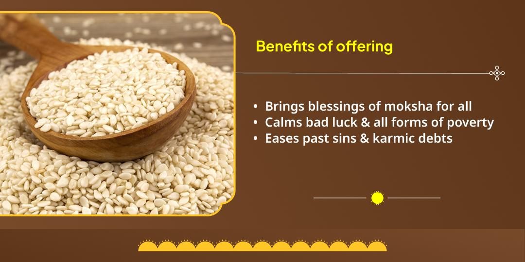 Makar Sankranti-Shattila Ekadashi Pitru Moksha & Paap NIvaran Til Mahaseva