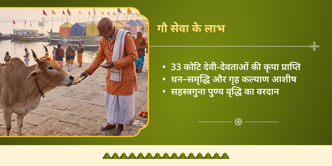 माघ मेला मौनी अमावस्या त्रिवेणी संगम गौ सेवा  