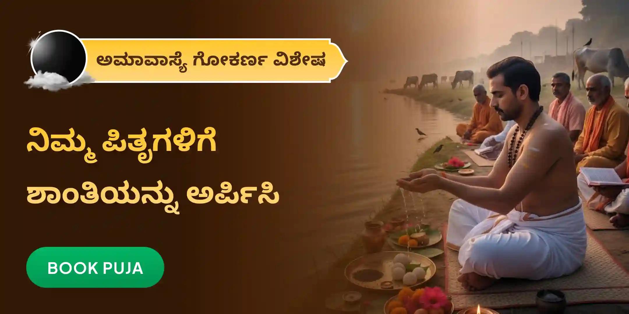 ನಾರಾಯಣ ಬಲಿ ಪೂಜೆ, ತ್ರಿಪಿಂಡಿ ಶ್ರಾದ್ಧ, ಪಿತೃ ದೋಷ ಶಾಂತಿ ಪೂಜೆ ಮತ್ತು ತಿಲ ಹೋಮ