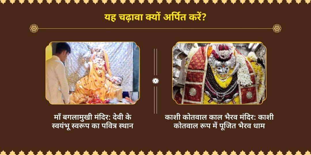 गुप्त नवरात्रि माँ बगलामुखी उज्जैन - काल भैरव काशी चढ़ावा 