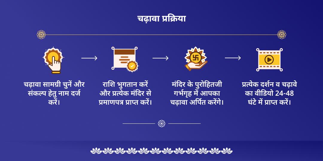 एकादशी पुण्य तिथि कुंडली ग्रह एवं कर्म शांति 9 नवग्रह चढ़ावा एवं सेवा