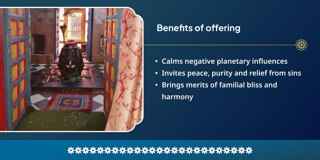 Maha Shivratri Shivling Mahamantra Sadhana & Shiv Aradhana