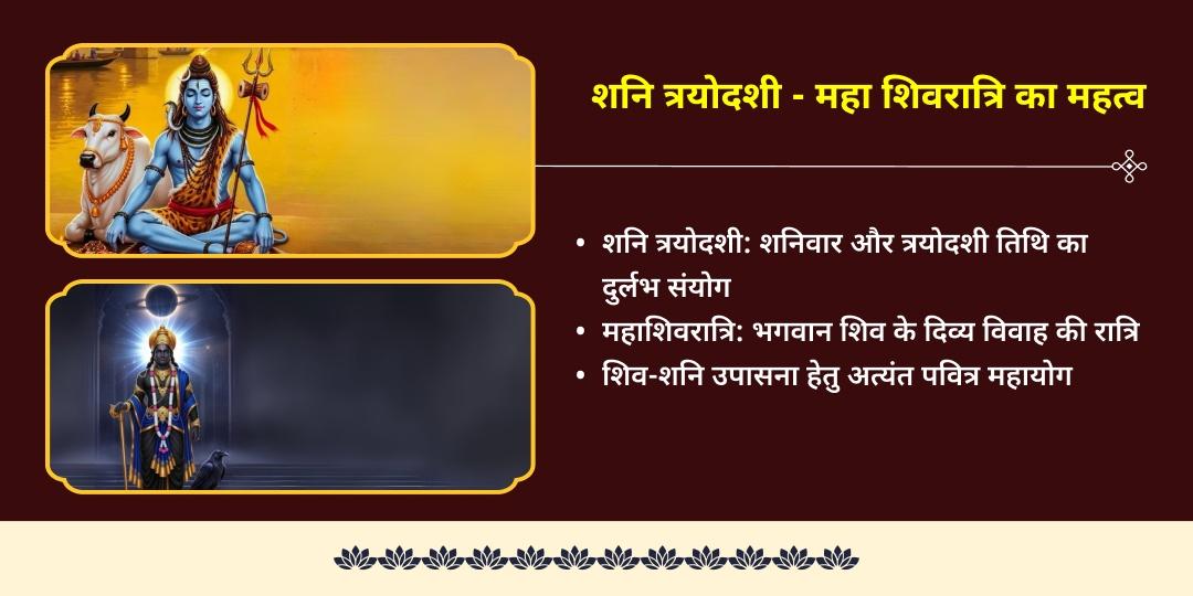 शनि त्रयोदशी महा शिवरात्रि कर्म चक्र शांति रुद्र-शनि महाभिषेक 