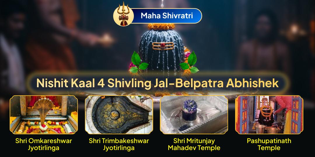 The Year’s Most Powerful Night- Maha Shivratri Nishith Kaal Mahabhishek on 4 Shivlings