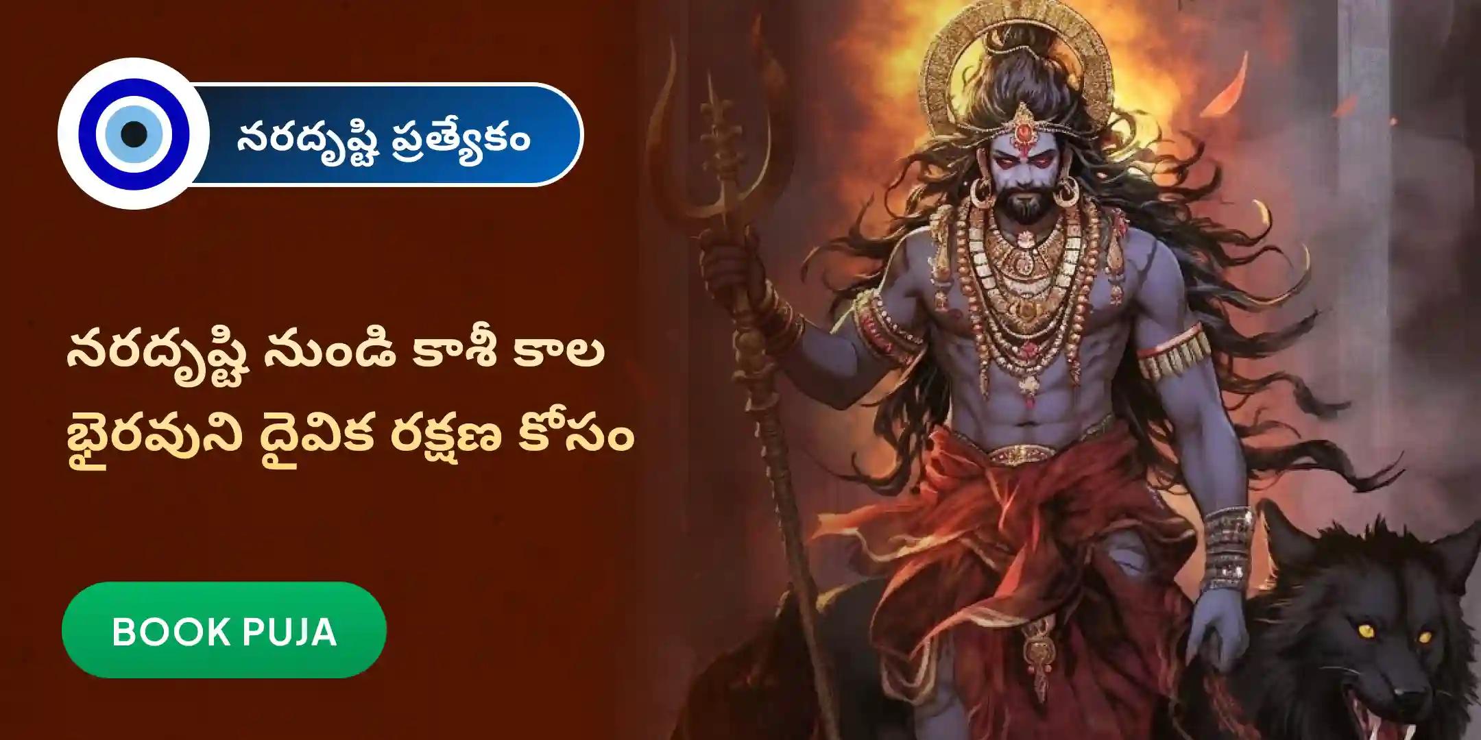 నరదృష్టి దోష శాంతి పూజ మరియు హోమం