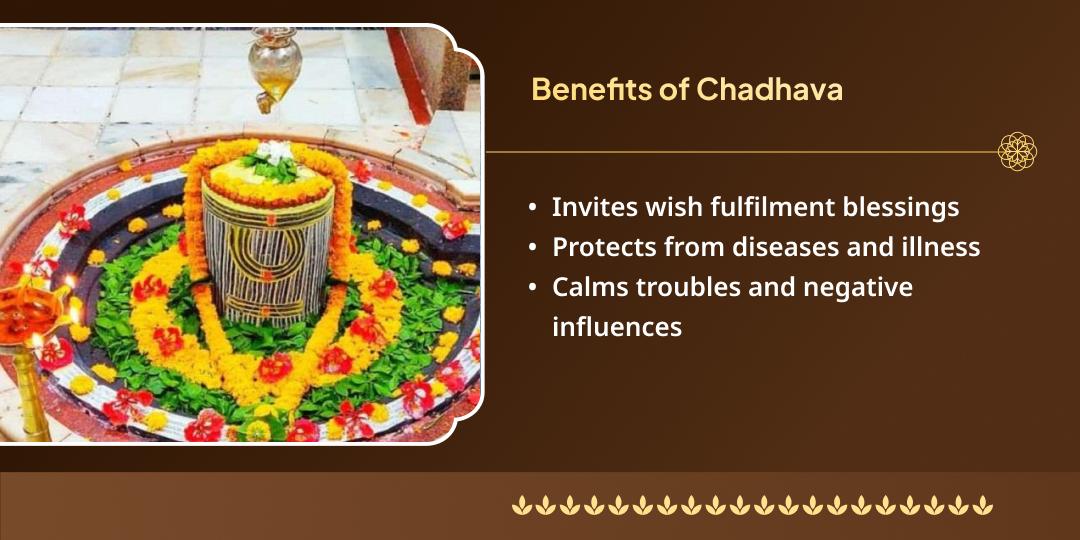 Maha Shivratri Nineth Jyotirling Baba Baidyanath Dham Chadhava