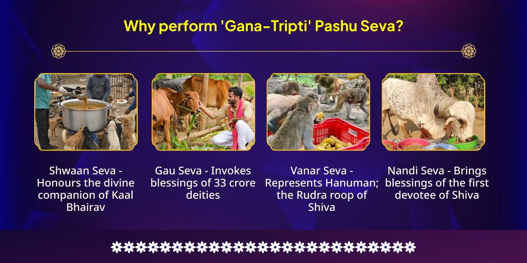 Maha Shivratri Pashupatinath 'Gana-Tripti' Pashu Seva Maha Sankalp