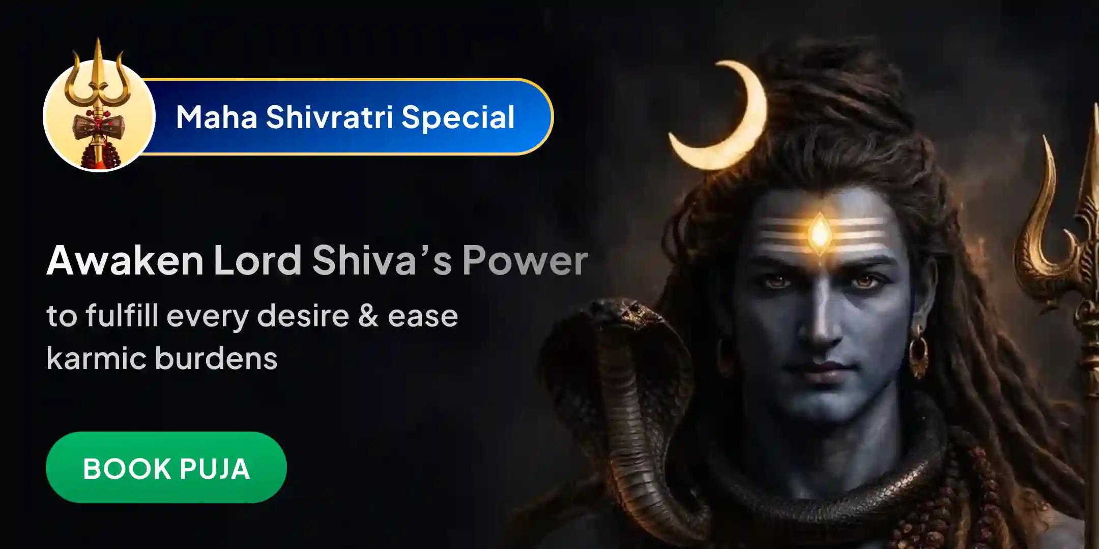 1,25,000 Narmadeshwar Partheshwar Linga Maharudrabhishek