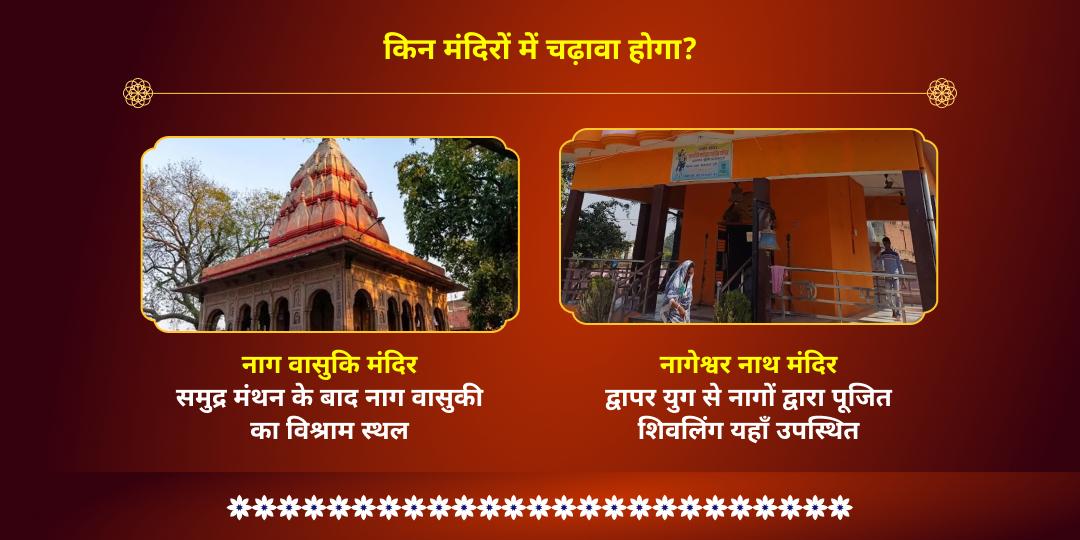 महा शिवरात्रि माह पंचमी तिथि काल सर्प शांति नाग देवता चढ़ावा 