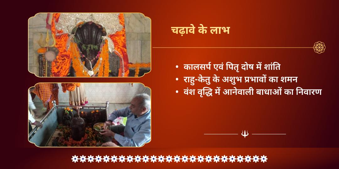 महा शिवरात्रि माह पंचमी तिथि काल सर्प शांति नाग देवता चढ़ावा 