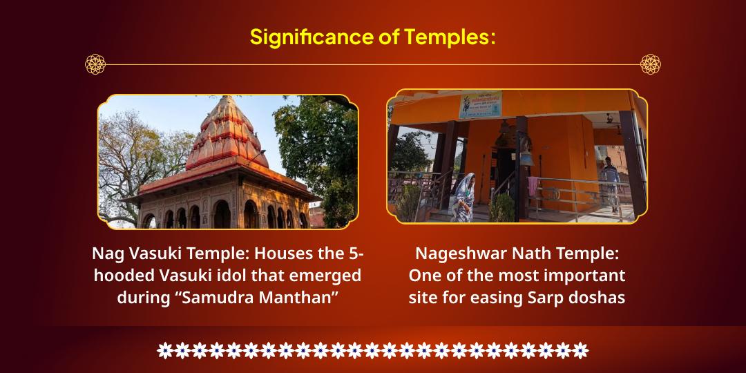 MahaShivrati Month Panchami Tithi Kaal Sarp Shanti Nag Devta Chadhava