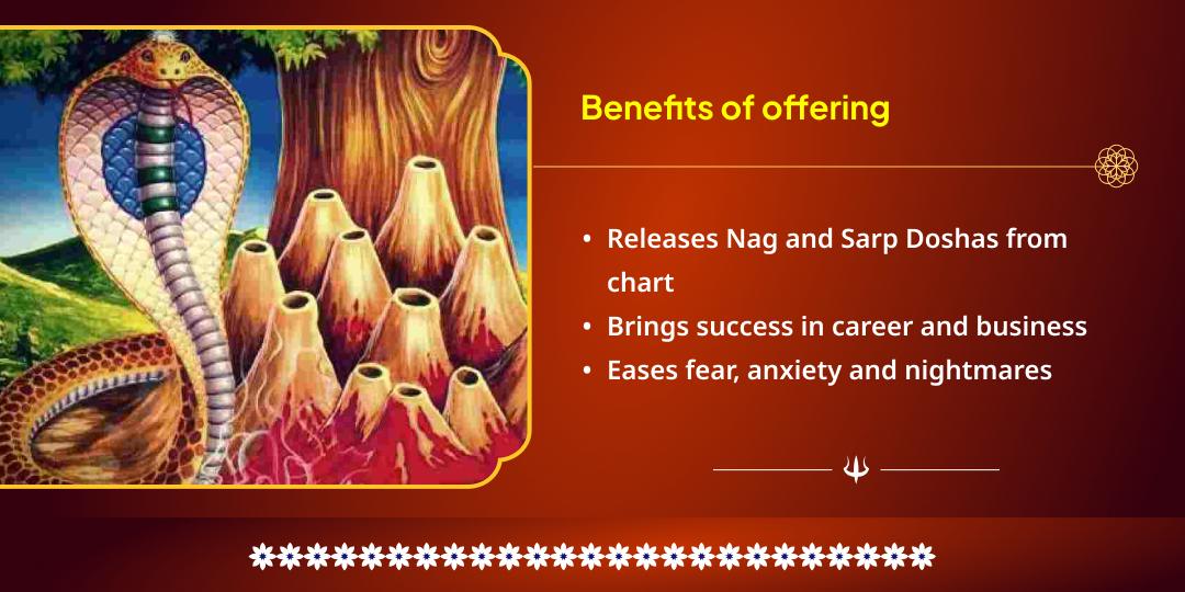 MahaShivrati Month Panchami Tithi Kaal Sarp Shanti Nag Devta Chadhava