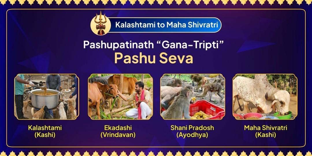 This Mahashivratri, attain the complete punya of your Shiva Aradhana only by serving Pashupatinath’s beloved Ganas (Dogs, Cows, Monkeys, and Nandi)