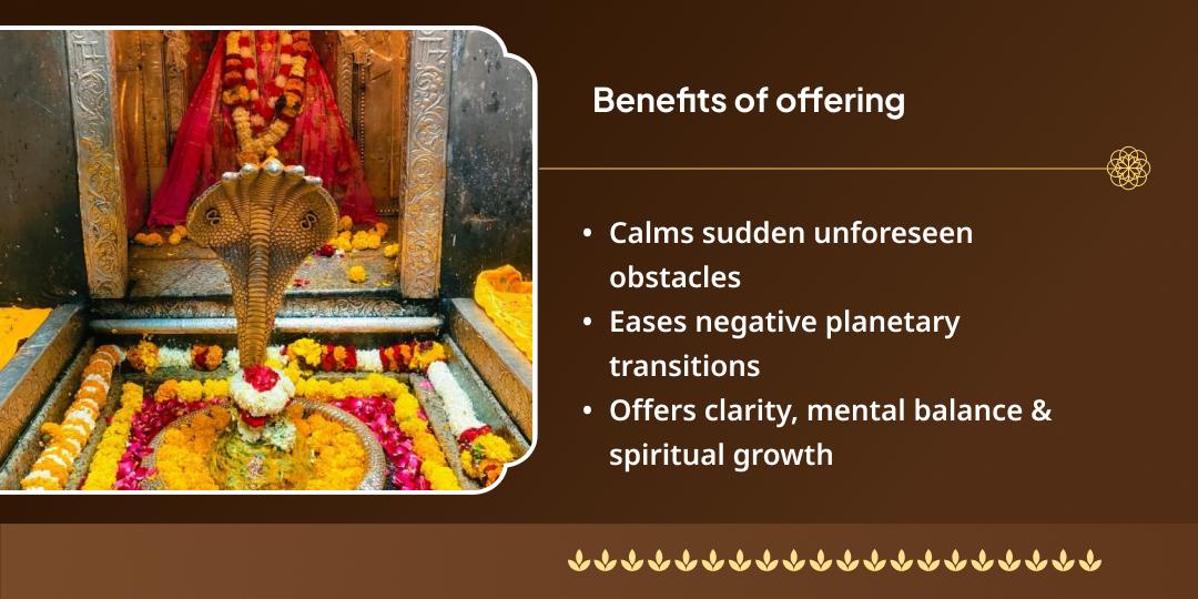 Maha Shivratri Omkareshwar Jyotirlinga Chadhava