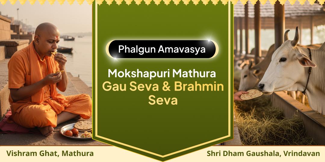 Amavasya is the time when Pitru-lok is most accessible and any seva reaches Pitrus directly! Seek dual blessings from Brahmin & Gau seva on this auspicious occasion with just one click.