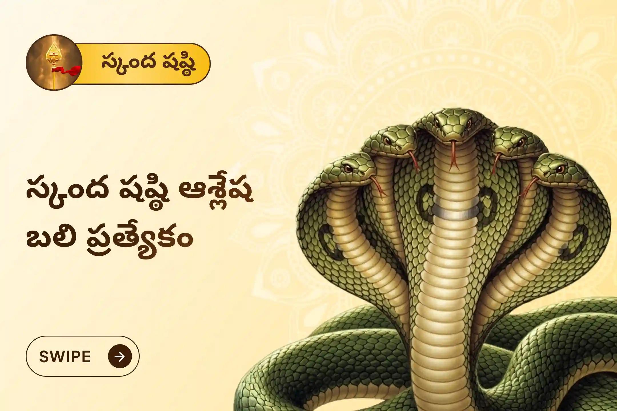 సర్ప (నాగ) దోషం యొక్క దుష్ప్రభావాలను తొలగించి, కర్మ పాపాలను ప్రక్షాళన చేసుకోవడం కొరకు స్కంద షష్ఠి ఆశ్లేష బలి ప్రత్యేక ఆశ్లేష నాగబలి పూజలో పాల్గొనండి.