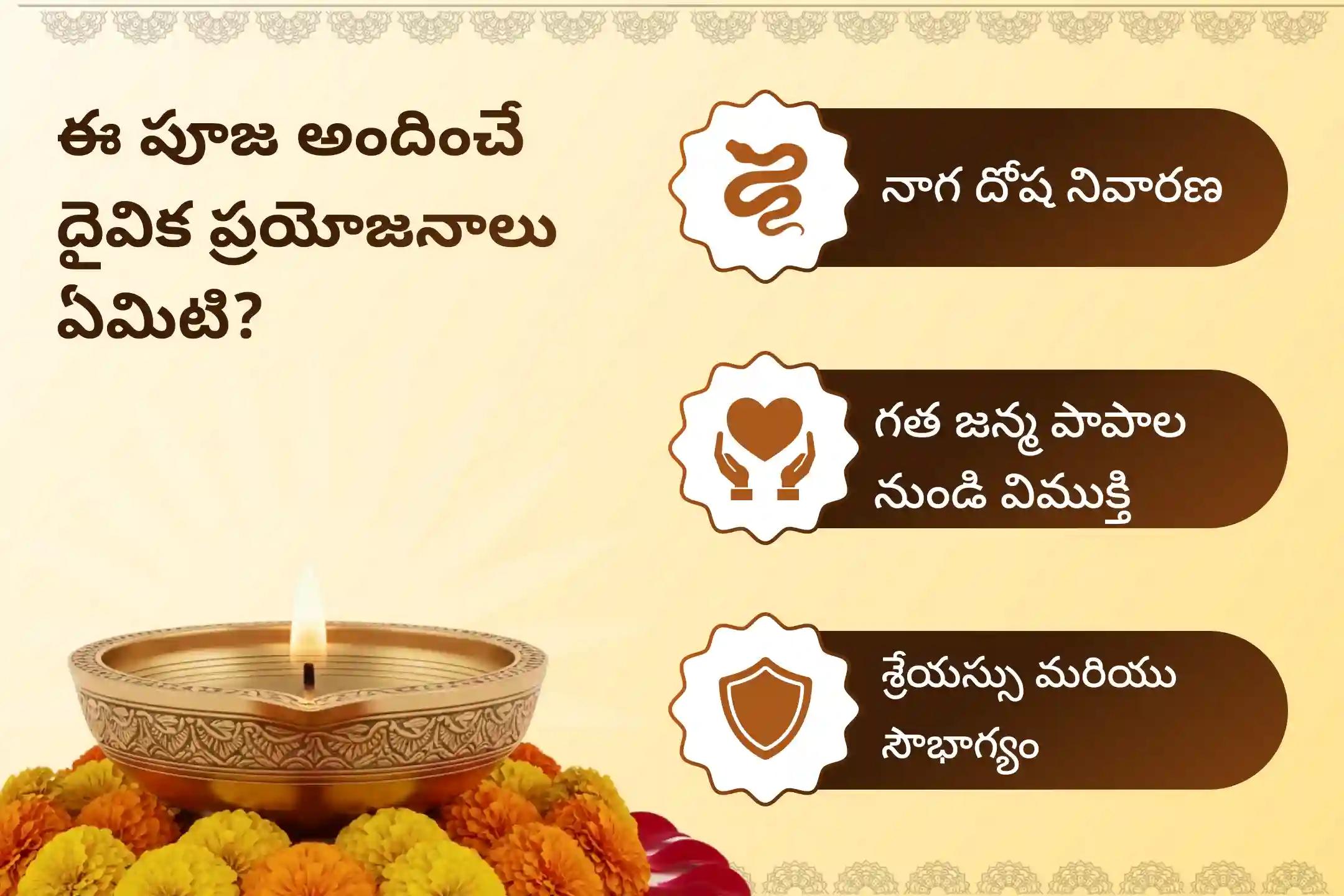 సర్ప (నాగ) దోషం యొక్క దుష్ప్రభావాలను తొలగించి, కర్మ పాపాలను ప్రక్షాళన చేసుకోవడం కొరకు స్కంద షష్ఠి ఆశ్లేష బలి ప్రత్యేక ఆశ్లేష నాగబలి పూజలో పాల్గొనండి.