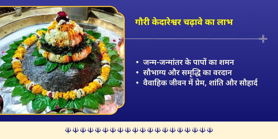 काशी रंगभरी एकादशी गौरी केदारेश्वर स्वागत महाचढ़ावा 