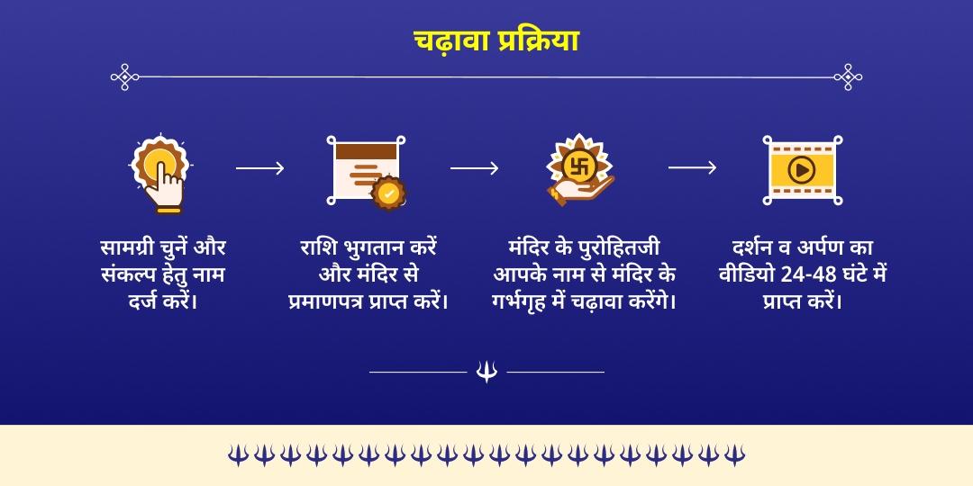 काशी रंगभरी एकादशी गौरी केदारेश्वर स्वागत महाचढ़ावा 