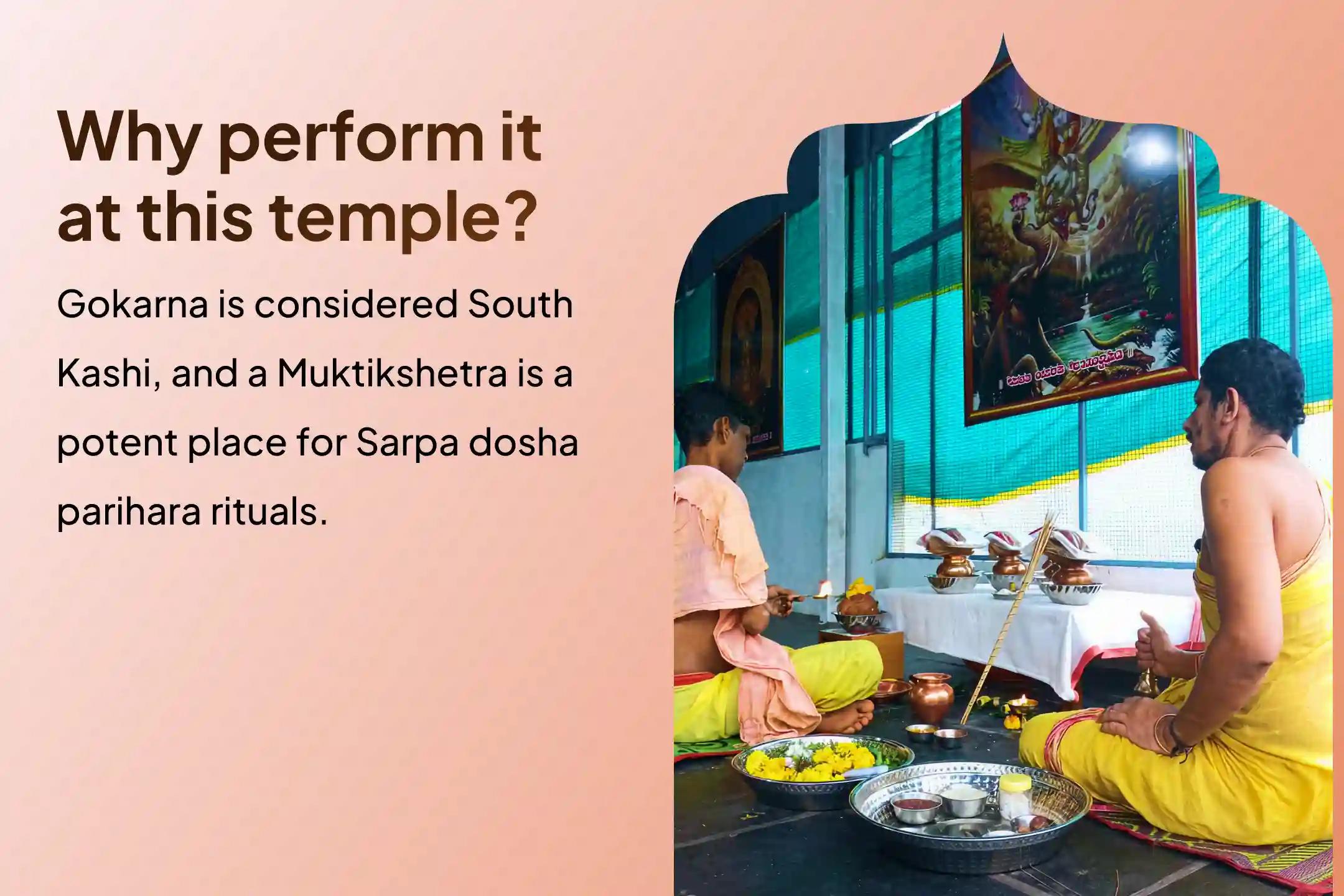 Participate in the Ashlesha Nakshatra Gokarna Special Ashlesha Naga Bali Puja to remove the malicious effects of Sarpa (Naga) Dosha and clean karmic sins