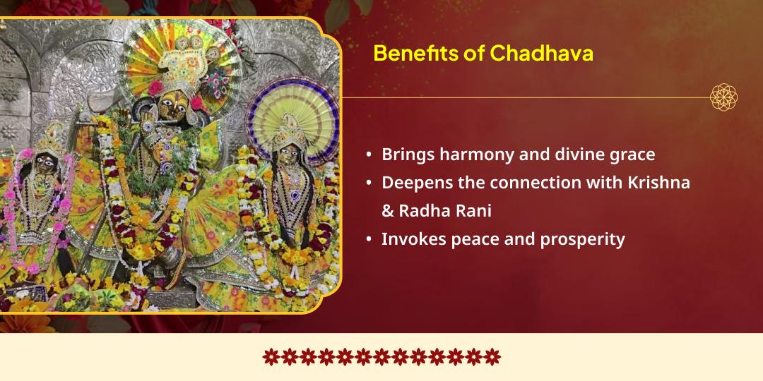 Vrindavan Holi Special Gulal Chadhava Shri Radha Damodar Dham