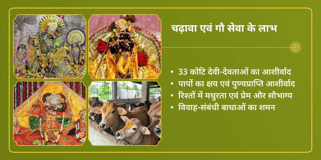 रंग पंचमी वृंदावन राधा कृष्ण 3 मंदिर चढ़ावा एवं गौ सेवा 