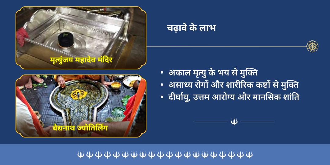 सोम प्रदोष महामृत्युंजय मंत्र एवं आरोग्य मूर्ति बैद्यनाथ ज्योतिर्लिंग चढ़ावा 