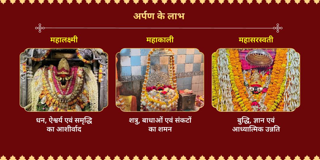 चैत्र नवरात्रि संधि काल विन्ध्याचल त्रिकोण शक्ति अर्पण 