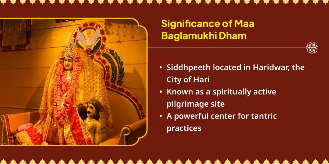 Chaitra Navratri Ashtami Maa Baglamukhi Nazar Dosh Shanti 21 KG Lal Mirchi Hawan Ahuti