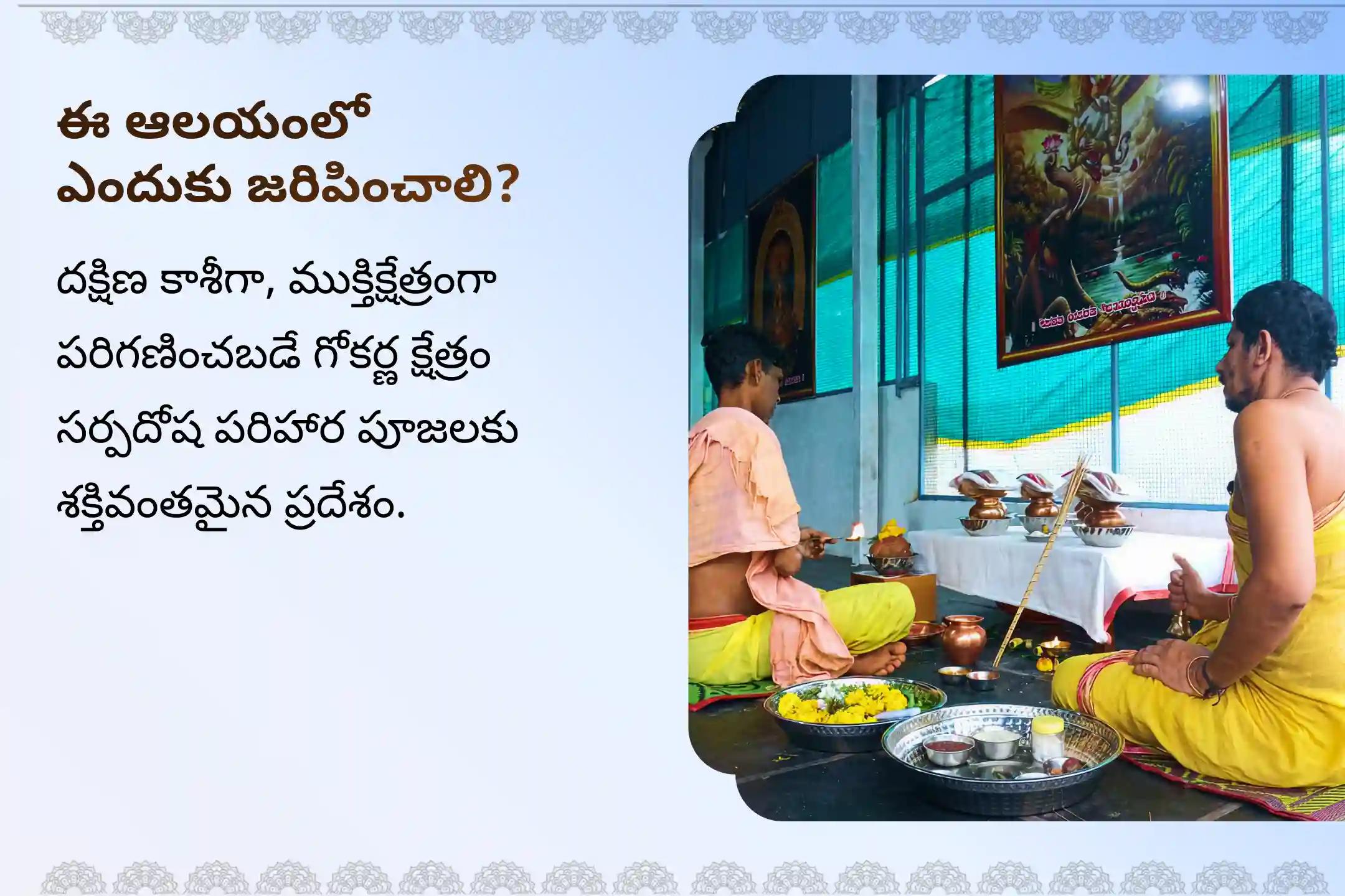 సర్ప (నాగ) దోషం యొక్క దుష్ప్రభావాలను తొలగించి, కర్మ పాపాలను ప్రక్షాళన చేసుకోవడం కొరకు ఆశ్లేష నక్షత్ర గోకర్ణ స్పెషల్ ఆశ్లేష నాగబలి పూజలో పాల్గొనండి.